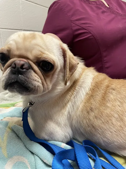 Riverbend Animal Clinic Picture 3
