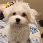 Riverbend Animal Clinic