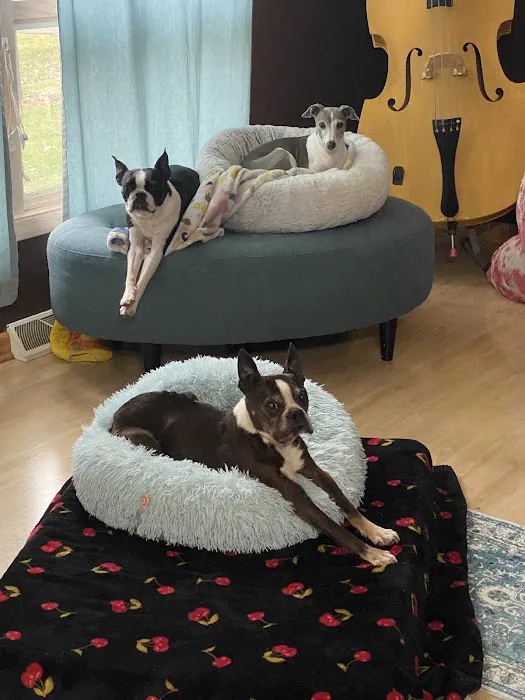 ValuVet Wellness Lancaster Picture 2