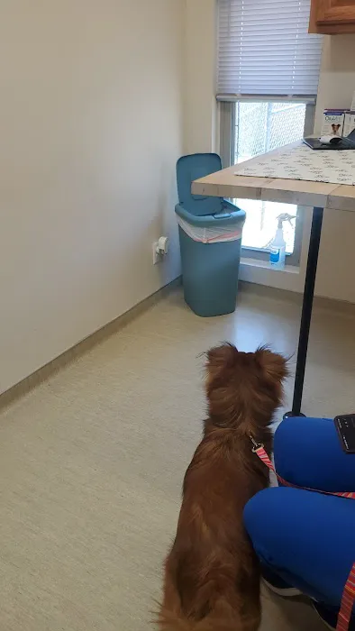 ValuVet Wellness Lancaster Picture 5