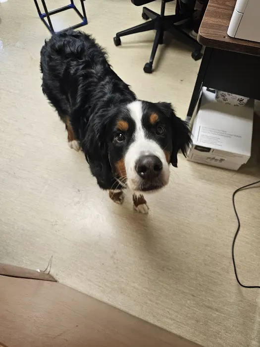 ValuVet Wellness Lancaster Picture 10