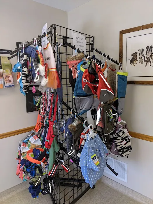 Creature Comforts Veterinary Center Picture 4