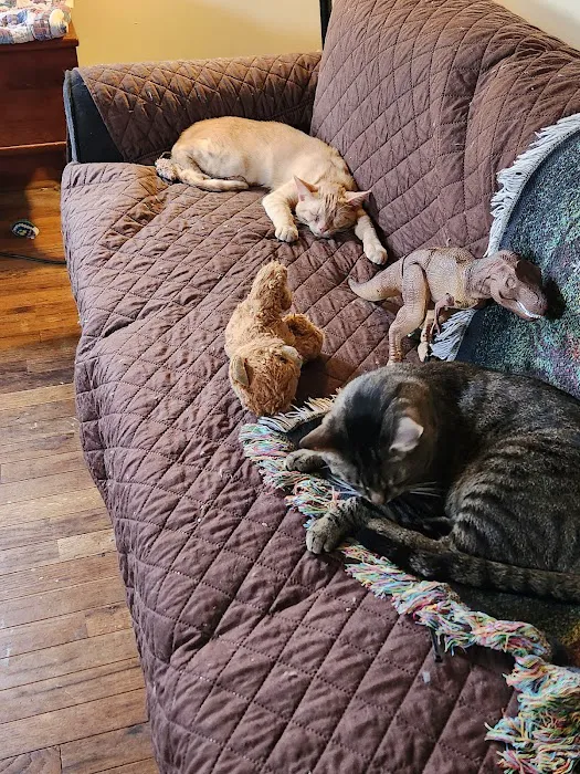 Baltimore Veterinary Clinic Picture 3
