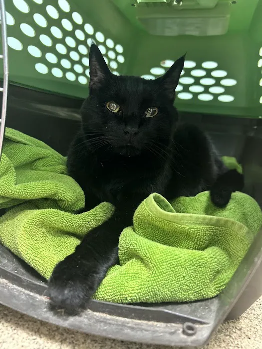 Refugee Canyon Veterinary Services Picture 10