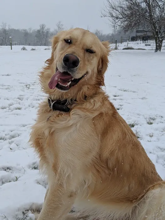 Bailey Veterinary Clinic Picture 8
