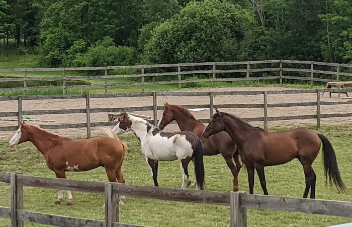 Willow Creek Veterinary Service Picture 4