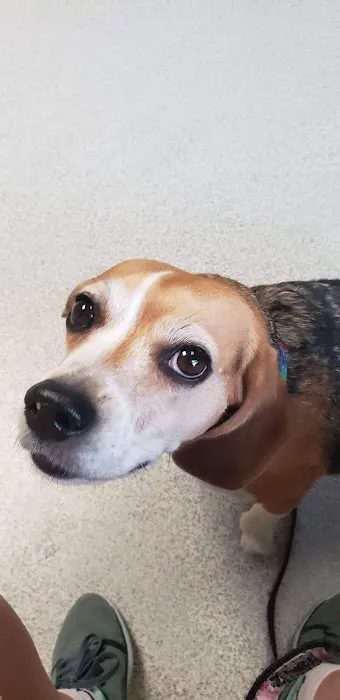 Tri County Animal Clinic Inc Picture 1