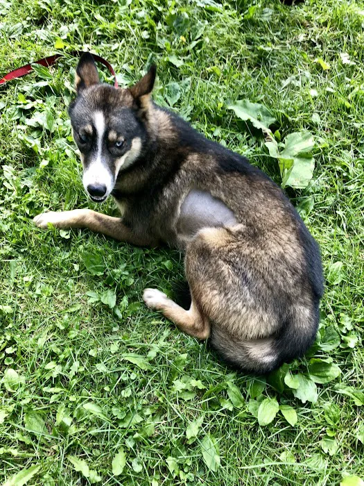 Tri County Animal Clinic Inc Picture 4