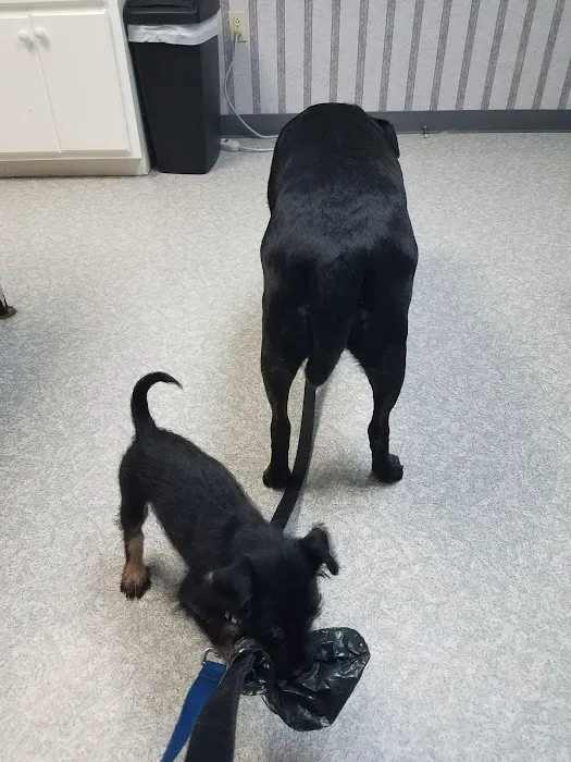 Tri County Animal Clinic Inc Picture 2
