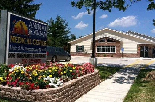 Animal and Avian Medical Center Picture 3