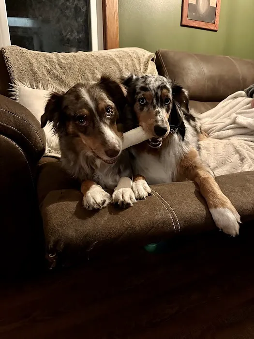 Ark Animal Hospital Picture 10