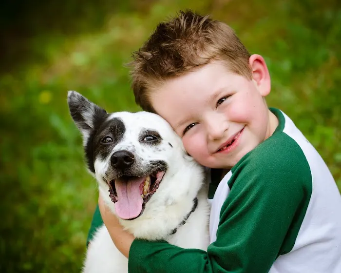 Rolling Hills Animal Hospital Picture 9