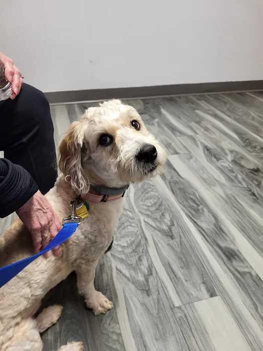 Brunswick Animal Hospital Picture 3