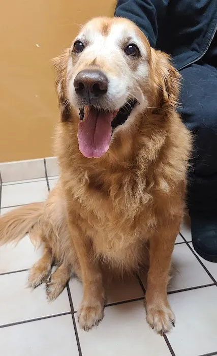 Brunswick Animal Hospital Picture 6