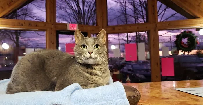 Brunswick Animal Hospital Picture 4