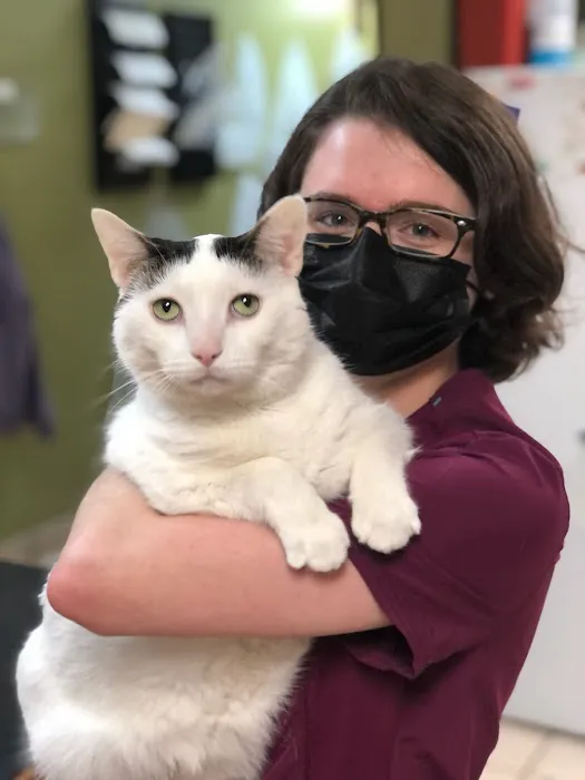 Brunswick Animal Hospital Picture 2
