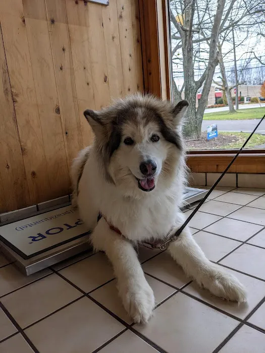 Brunswick Animal Hospital Picture 7