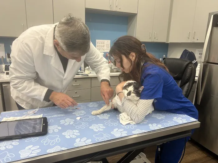 VIP Petcare Vaccination Clinic Picture 6