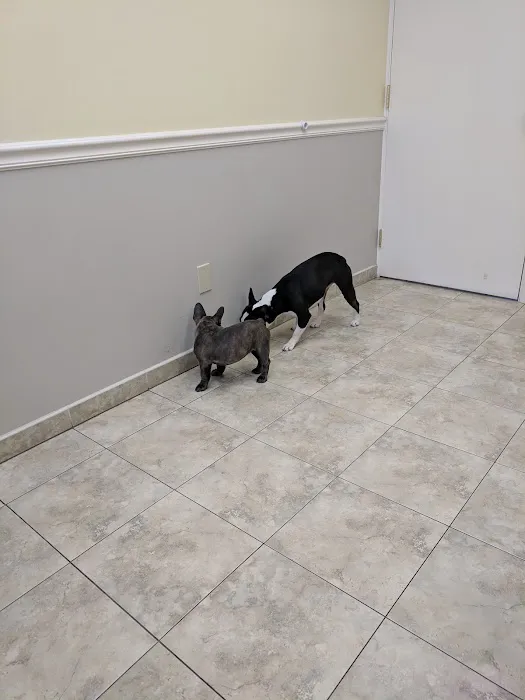 Rocky River Animal Hospital Picture 4