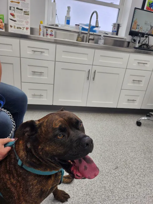 Rocky River Animal Hospital Picture 3
