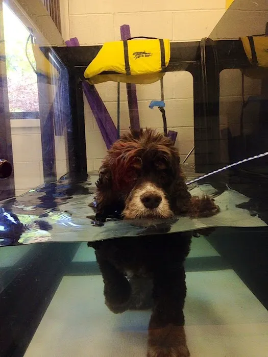 West Park Animal Hospital Picture 1