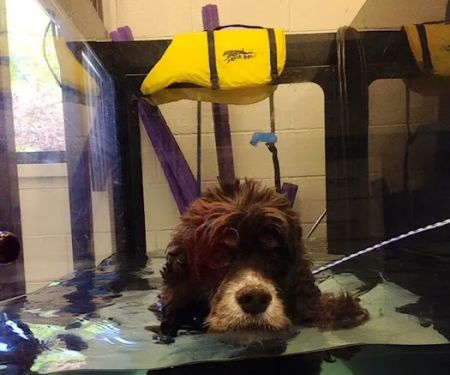 West Park Animal Hospital