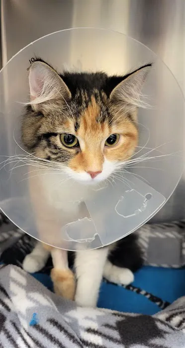 West Park Animal Hospital Picture 2