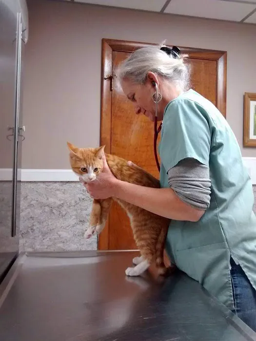 North Shore Veterinary Hospital Picture 4