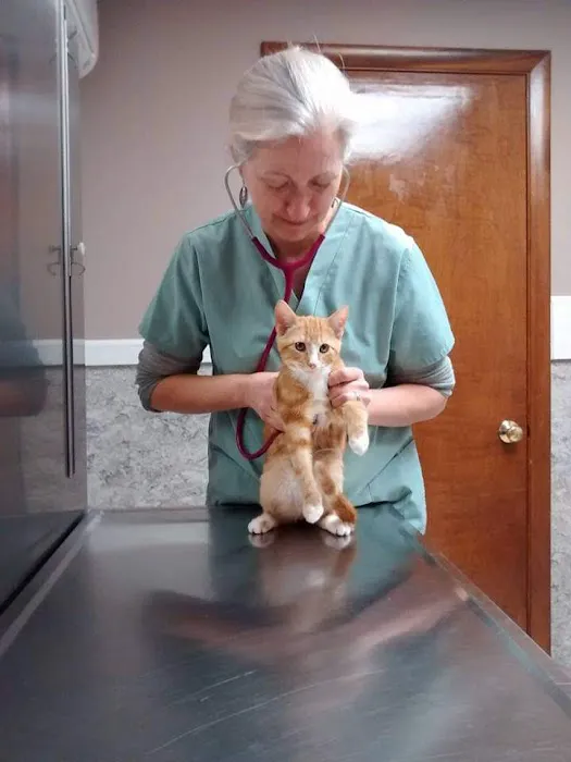 North Shore Veterinary Hospital Picture 5