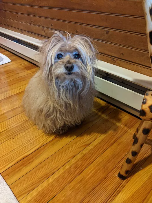 SeaPort Veterinary Hospital Picture 5