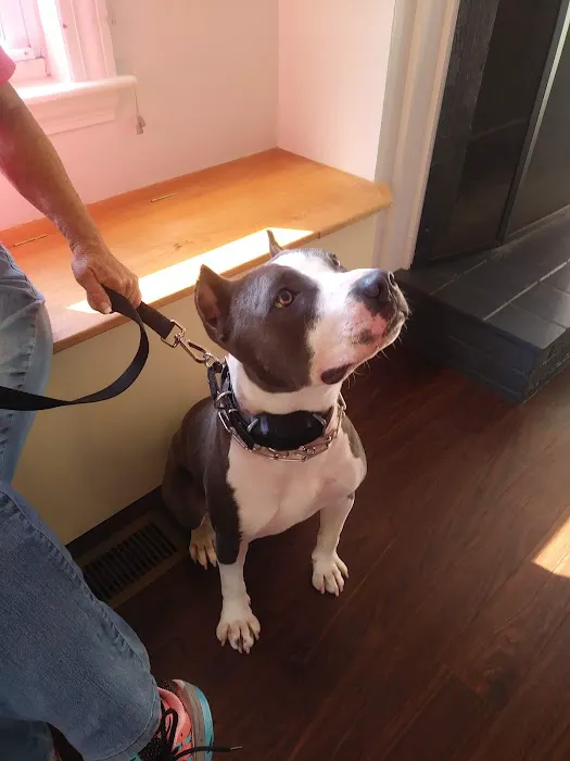 SeaPort Veterinary Hospital Picture 6