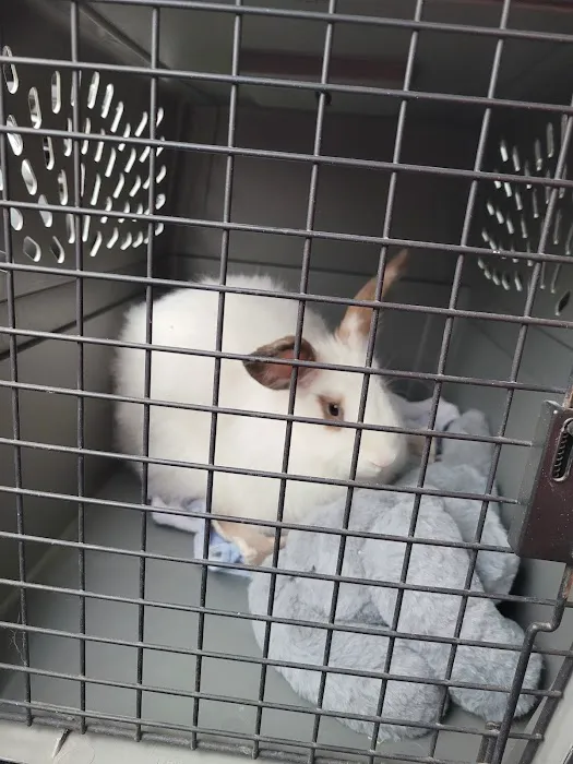 Camden Hospital For Animals: Contakos Stacey DVM Picture 1