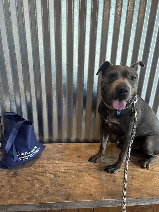 blake vets Picture 4