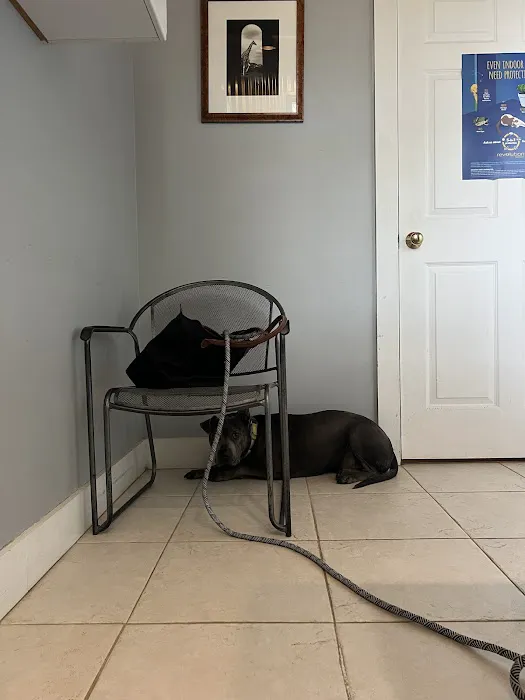blake vets Picture 3