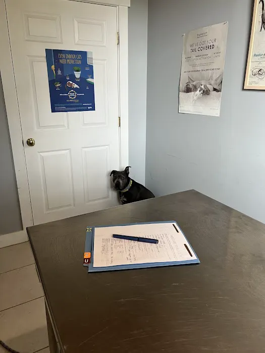 blake vets Picture 5