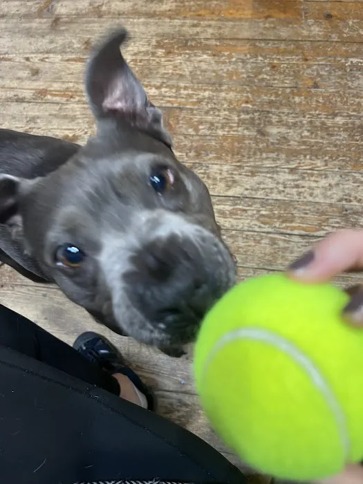 blake vets Picture 6