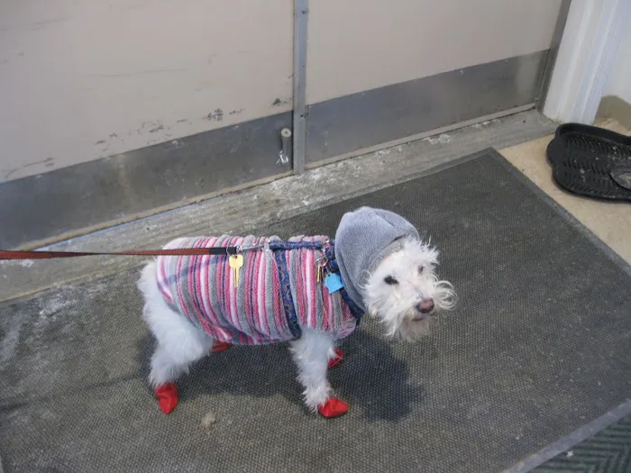 blake vets Picture 8