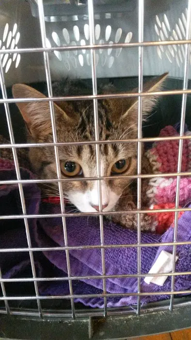 blake vets Picture 7