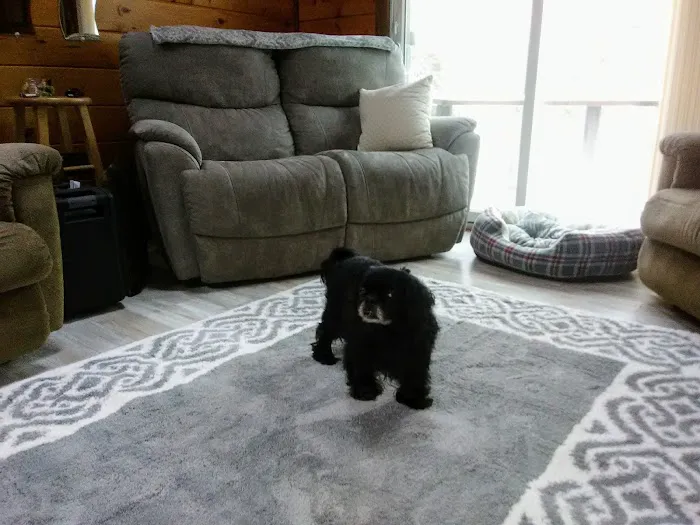 Winslow Animal Hospital Picture 7