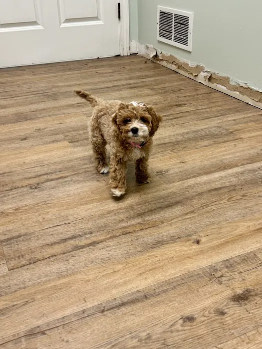 Garland Road Small Animal Hospital Picture 10