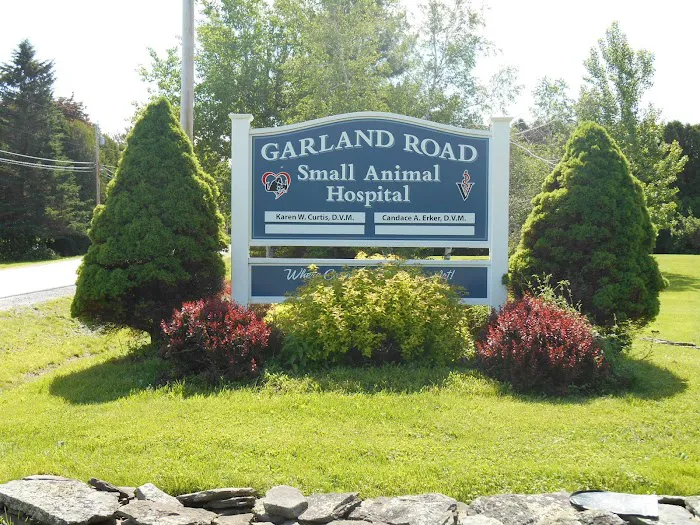 Garland Road Small Animal Hospital Picture 1