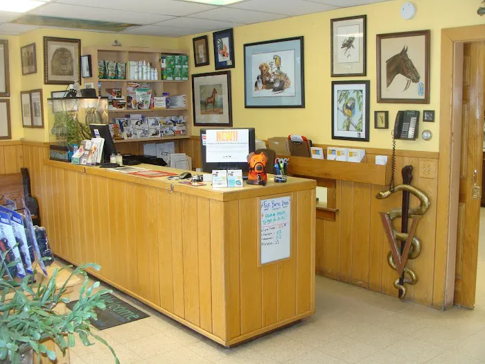 New England Animal Hospital Picture 2