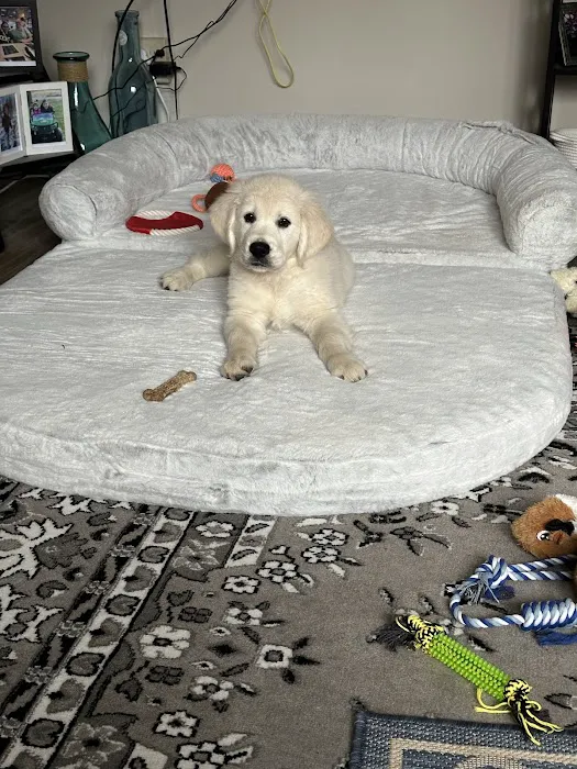 New England Animal Hospital Picture 3