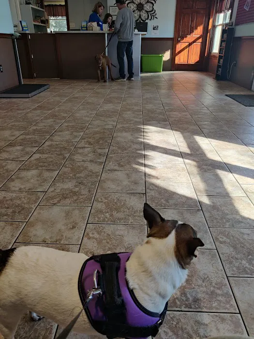 Bethlehem Animal Hospital Picture 6
