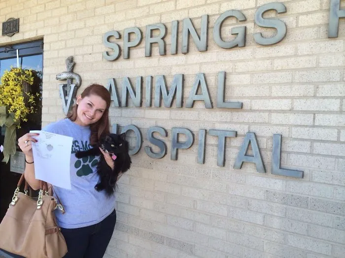 Springs Road Animal Hospital Picture 1