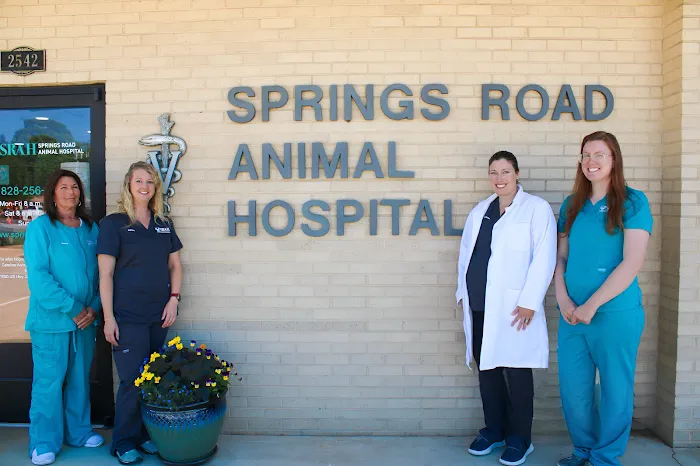 Springs Road Animal Hospital Picture 10