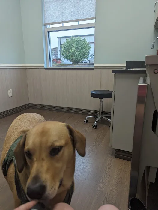 Countryside Pet Hospital Picture 3