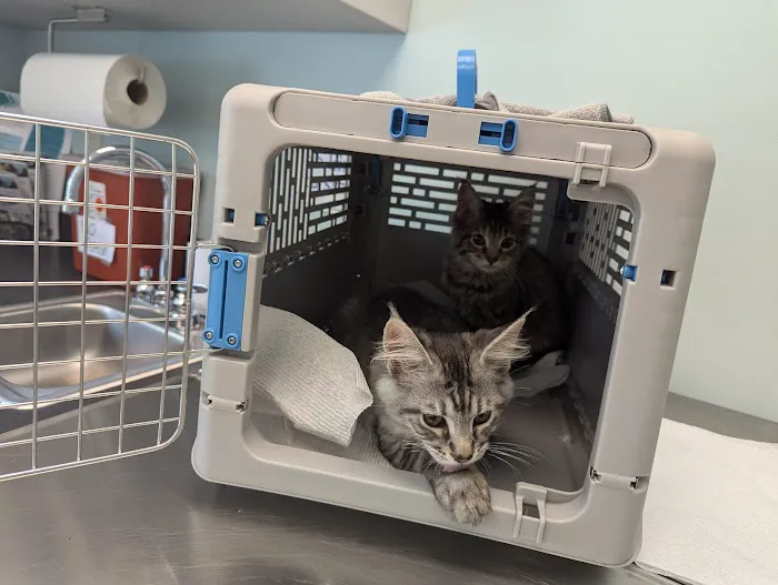 Countryside Pet Hospital Picture 7