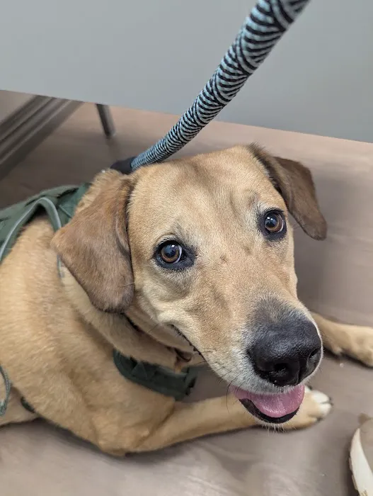 Countryside Pet Hospital Picture 4
