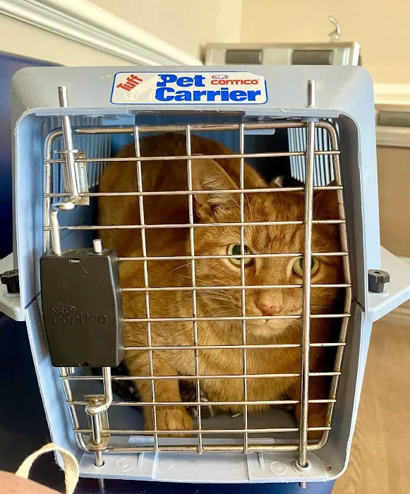 Countryside Pet Hospital Picture 9